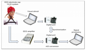 113945-fig-1