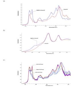 178474-fig-3