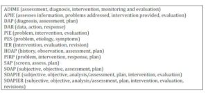 Clinical Therapy Documentation Methods  