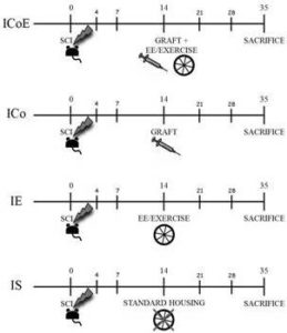 Figure 1 — Study Design