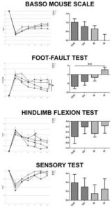 Behavioural Tests