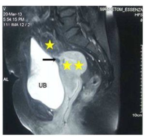 306195-fig-3