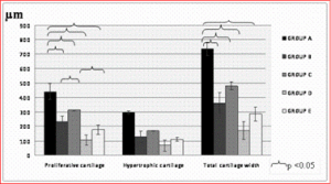 340616-fig-3