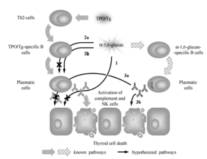 355367-fig-9