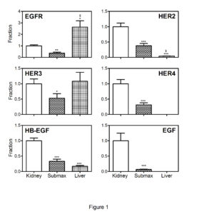 673284-fig-1