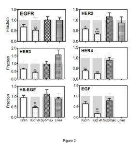 673284-fig-2