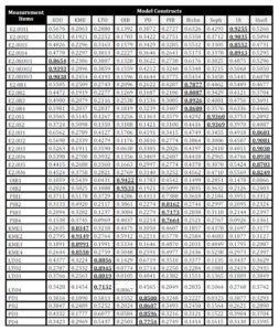  Matrix of Loading and Cross Loadings