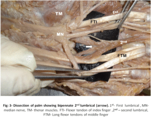 821692-fig-3