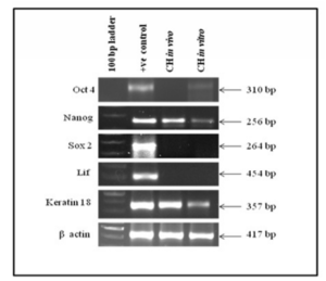 879081-fig-3