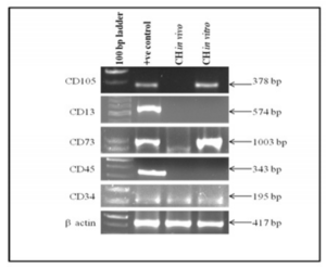 879081-fig-4