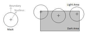 Three Circular Masks at Different Places on an image Trying to Detect Edges (adapted from Smith and Brady, 1997)