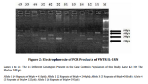 899256-fig-2