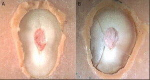 966831-fig-4