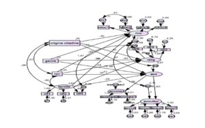 The validated structural model with all statistic relations