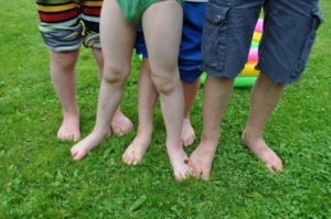 Four brothers share a papulous and itching rash