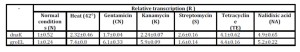 Transcription of dnaK and groEL measured by real time qRT-PCR  in S. 