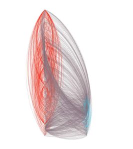 The overall tying network lay out by the customized layout.