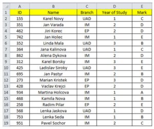 An example of database table in MS Excel environment