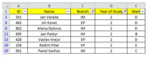 The filtered data (entries)