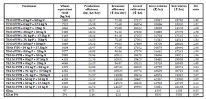 System productivity and economics of urdbean - wheat  cropping system (Pooled)