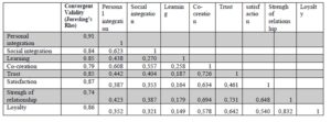 Discriminant Validity Results