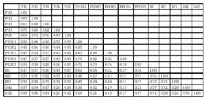 Inter-construct correlations